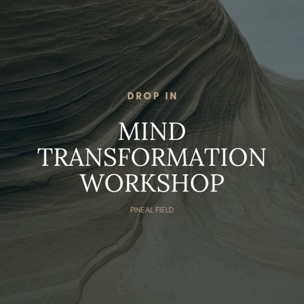 Mind Transformation Workshop